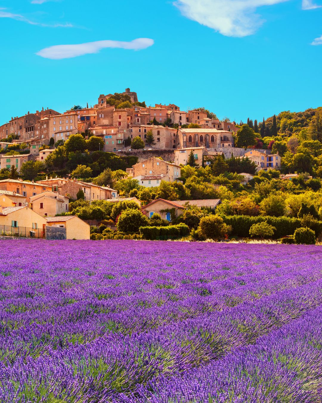 Provence