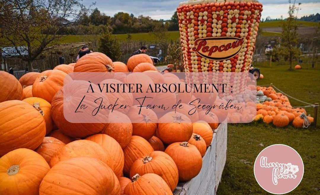 Visiter la Jucker Farm de Seegräben en octobre pour une ambiance digne des pumpkin patchs américains