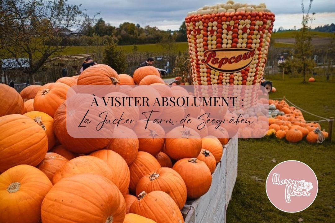 Visiter la Jucker Farm de Seegräben en octobre pour une ambiance digne des pumpkin patchs américains